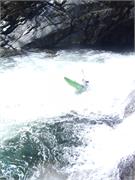 Tellico 17